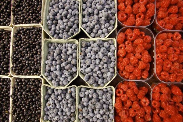 Sweden, Stockholm Berries at the Outdoor Market